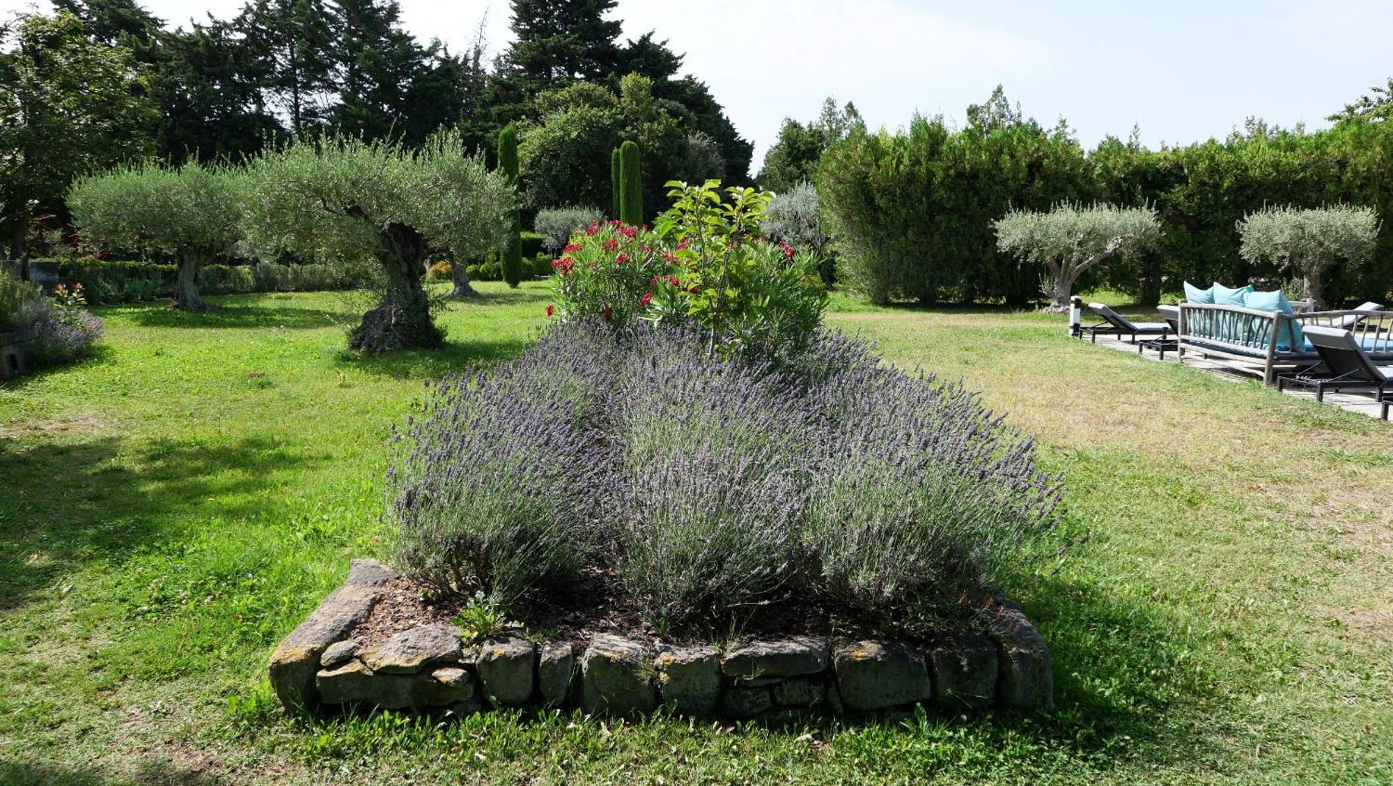 Superbe Mas Provençal 600m2 avec une Superbe Piscine Chauffée et très grand jardin 9000m2, situé au cœur du Luberon en campagne proche de L'Isle sur la Sorgue, 12 personnes, LS2-17 FIGNOULADO Cavaillon Extérieur photo