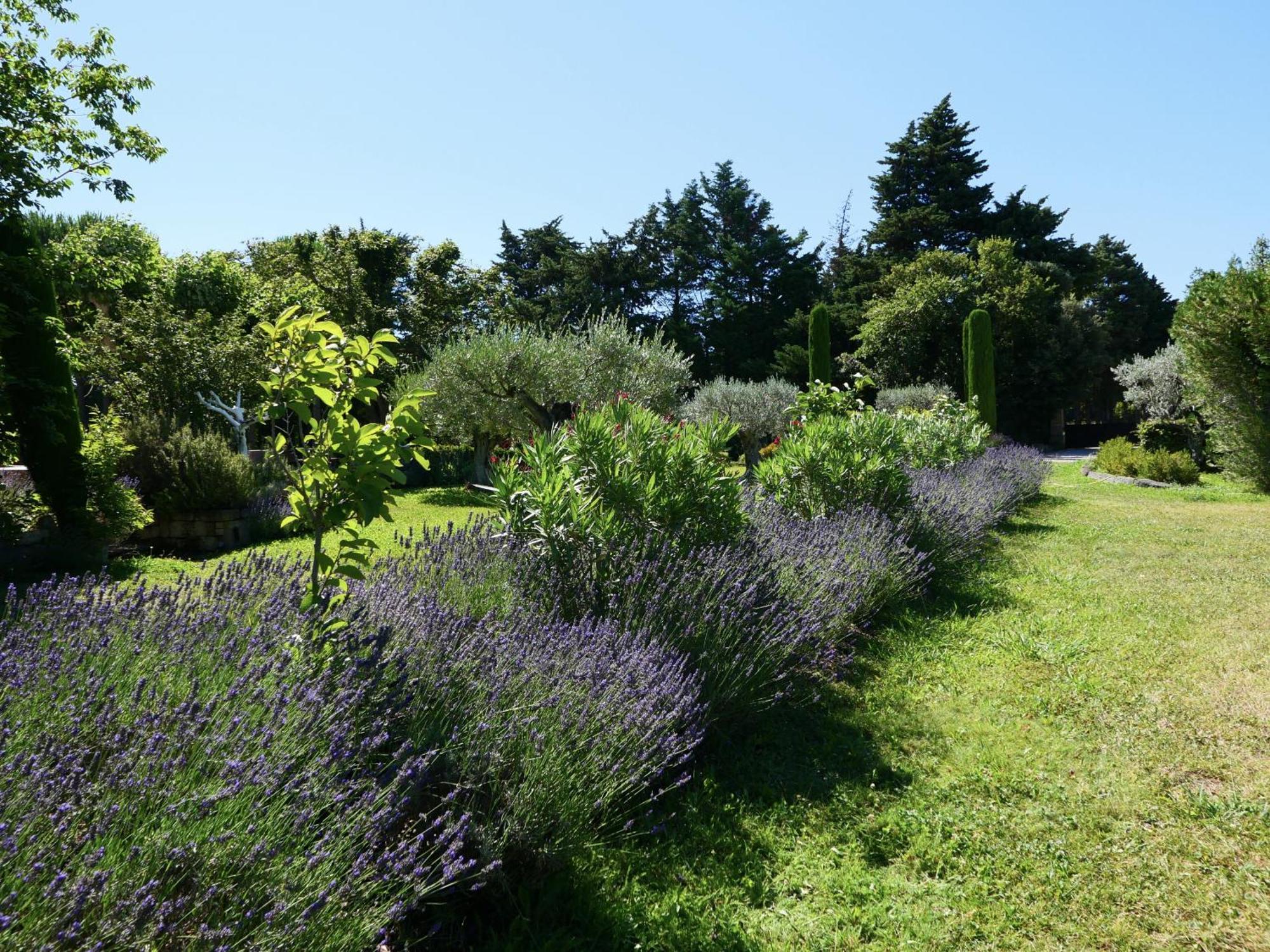 Superbe Mas Provençal 600m2 avec une Superbe Piscine Chauffée et très grand jardin 9000m2, situé au cœur du Luberon en campagne proche de L'Isle sur la Sorgue, 12 personnes, LS2-17 FIGNOULADO Cavaillon Extérieur photo