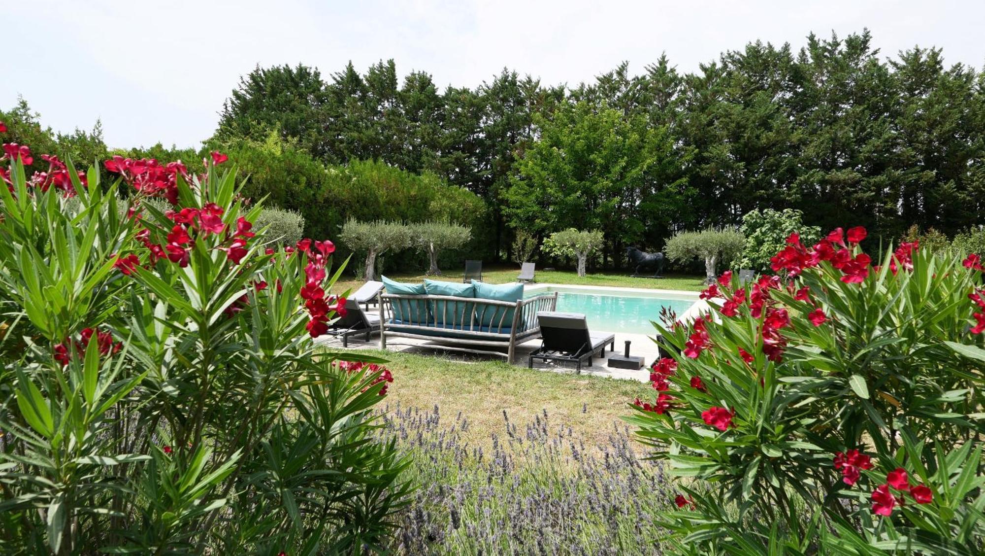 Superbe Mas Provençal 600m2 avec une Superbe Piscine Chauffée et très grand jardin 9000m2, situé au cœur du Luberon en campagne proche de L'Isle sur la Sorgue, 12 personnes, LS2-17 FIGNOULADO Cavaillon Extérieur photo